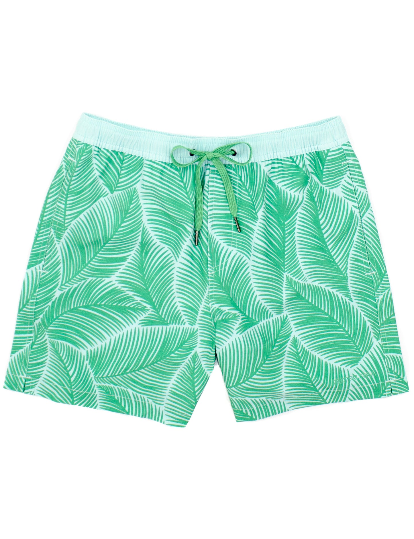 royal palm swim trunk