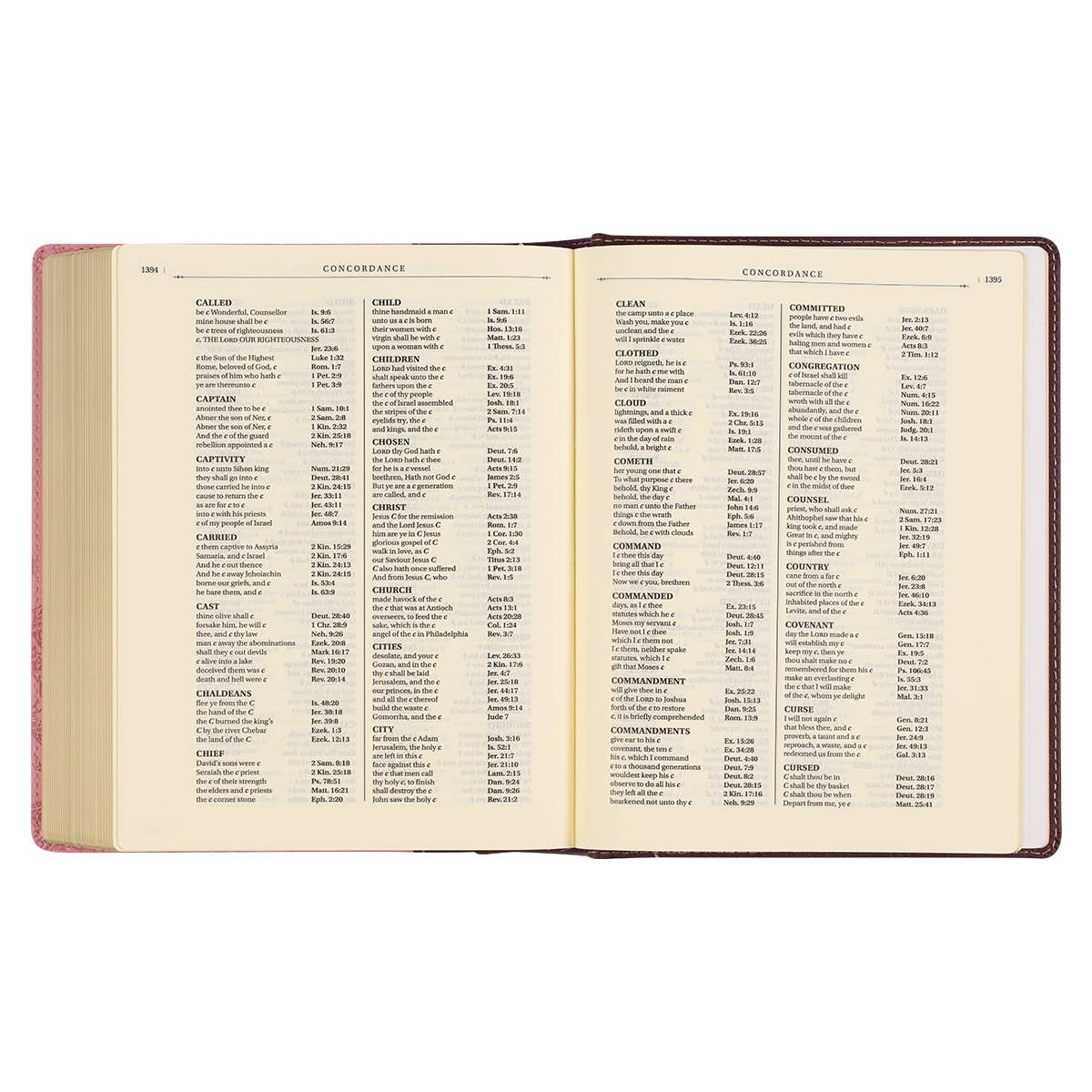 KJV Note-taking Bible Faux Leather HC, Brown/Pink