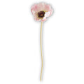 11" Pink Poppy Stem
