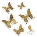 Butterfly Sitters