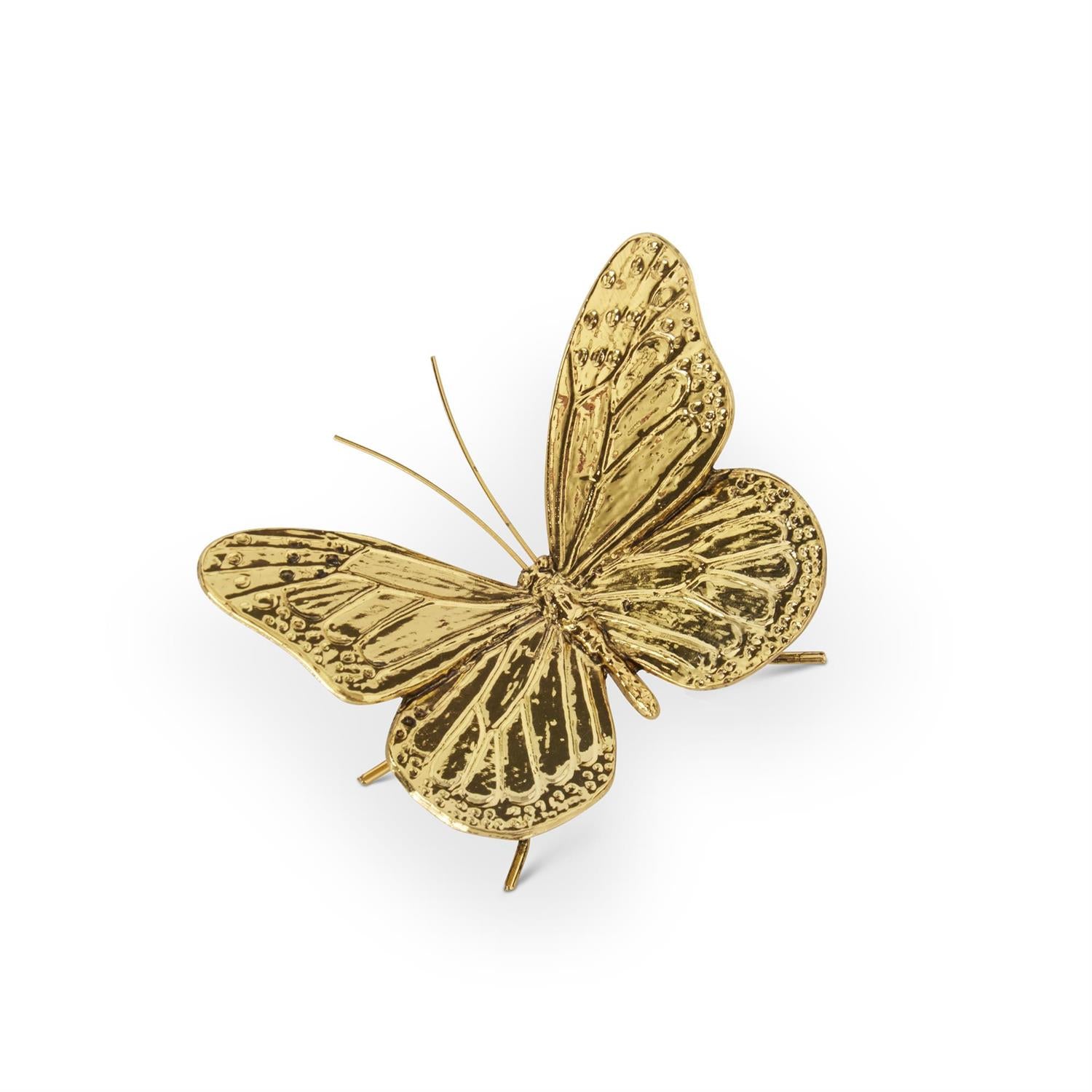 Butterfly Sitters