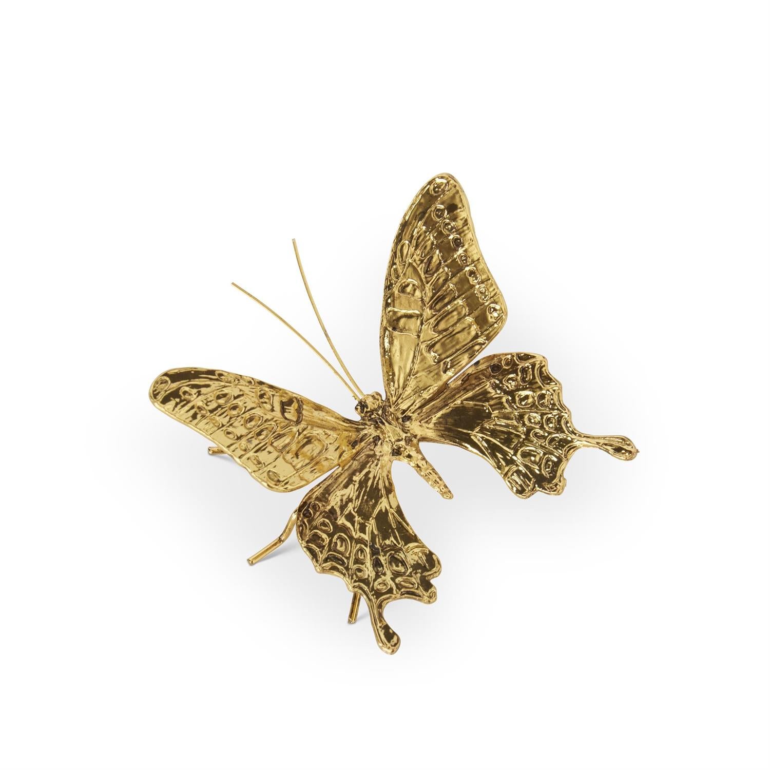 Butterfly Sitters