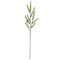 38" Privet Foliage Stem