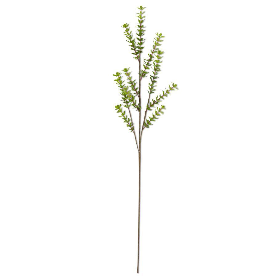 38" Privet Foliage Stem