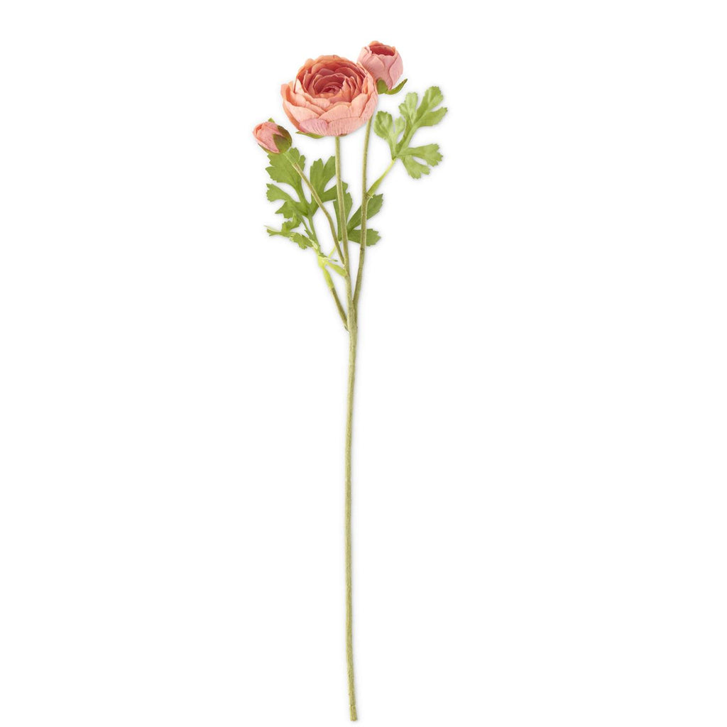 21" Coral Ranunculus Stem