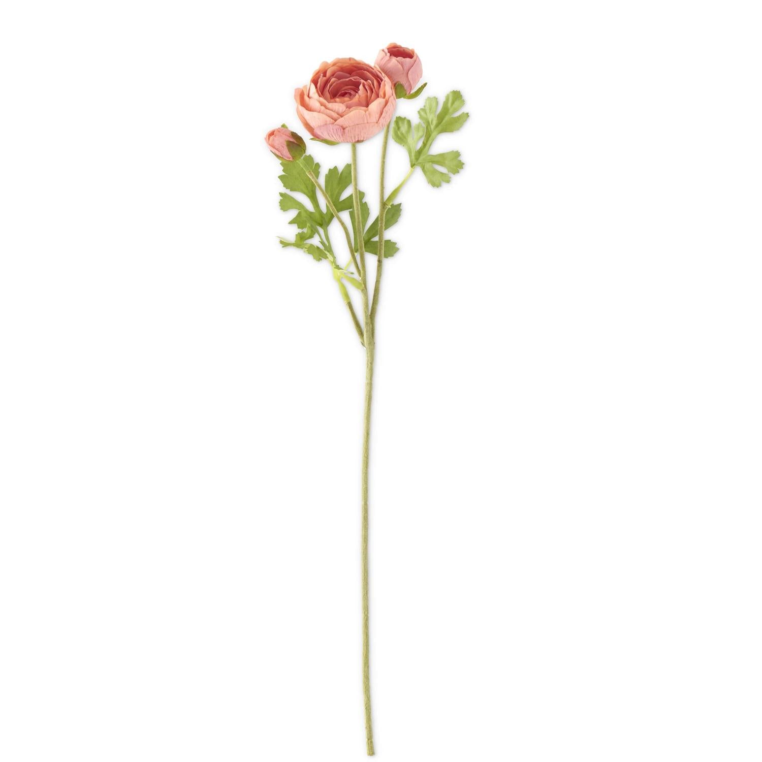 21" Coral Ranunculus Stem