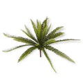 26" Fern Bush