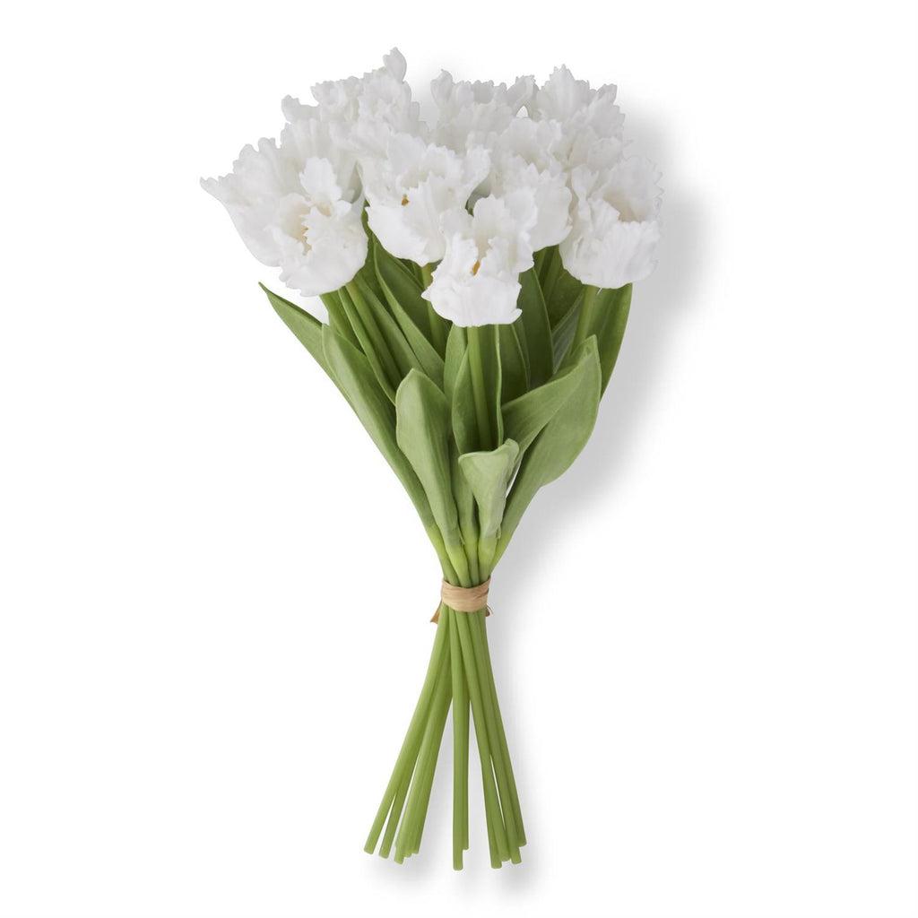 13" White Parrot Tulip Bundle
