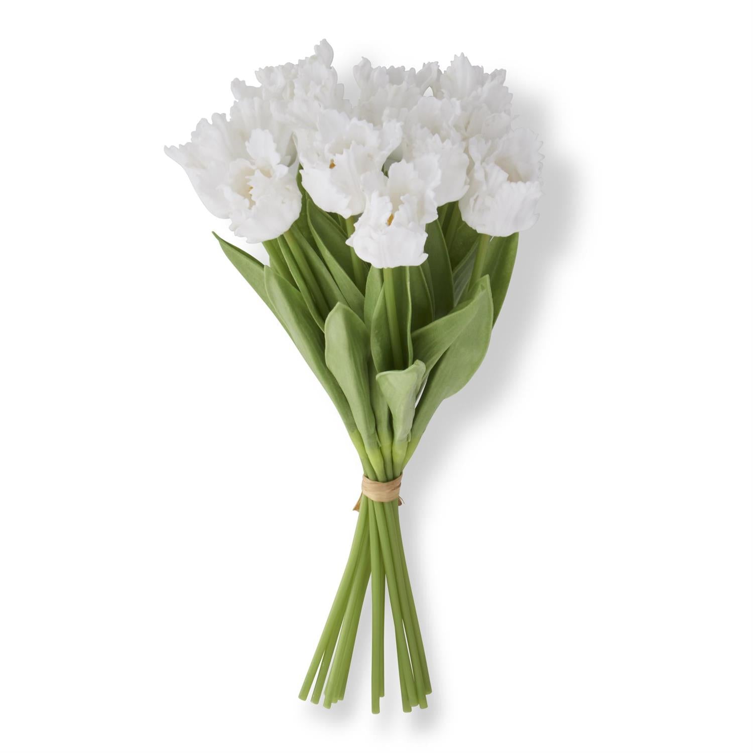 13" White Parrot Tulip Bundle