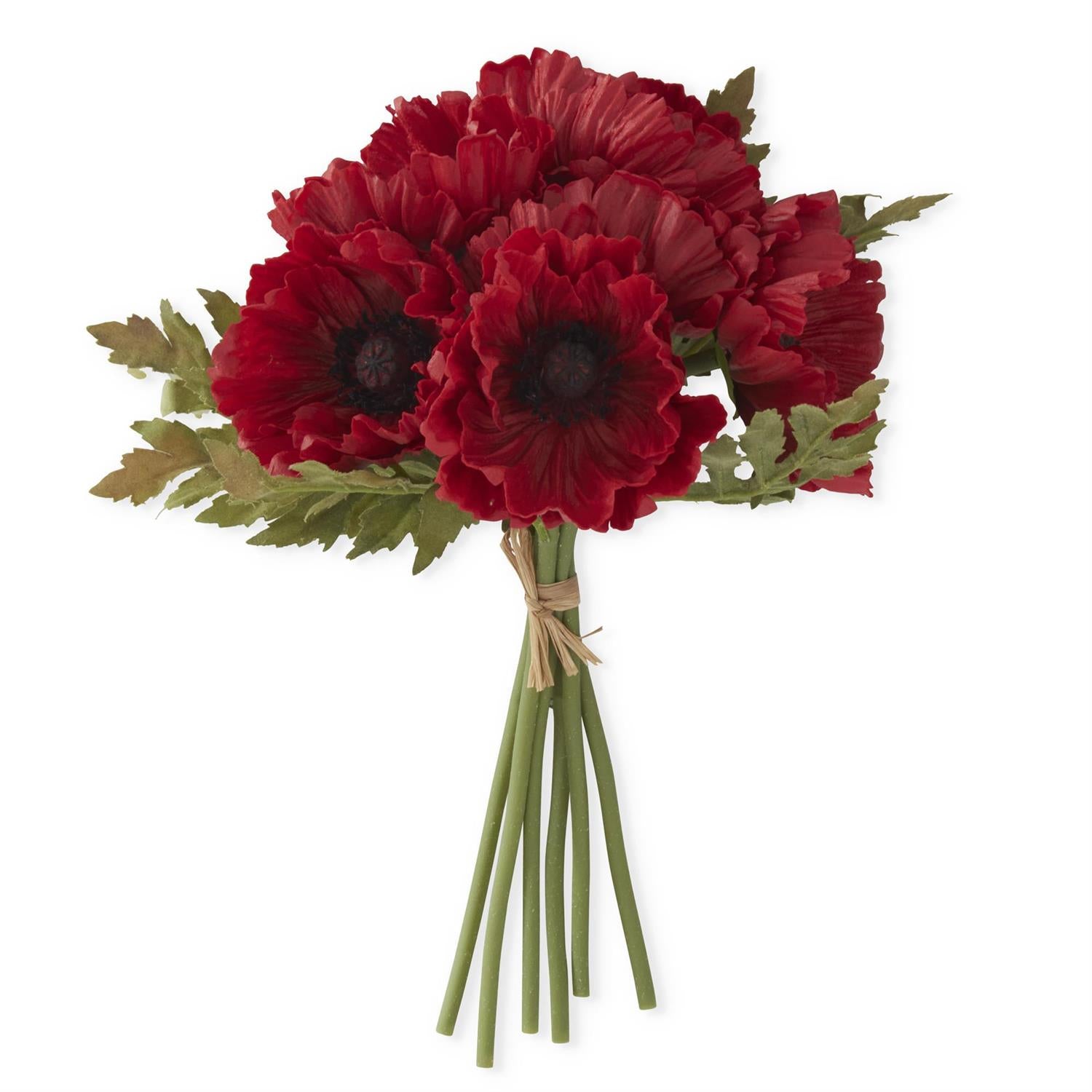 Red Poppy Bundle