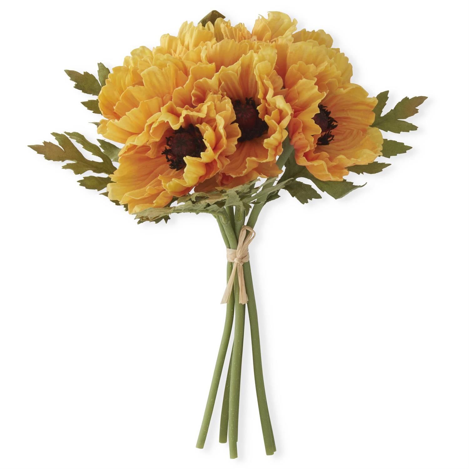 Yellow Poppy Bundle