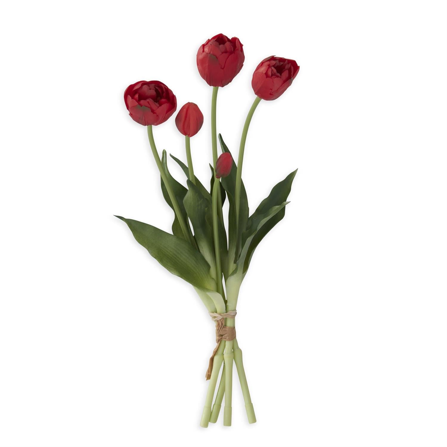 15" Red Tulip Bud and Bloom Bundle