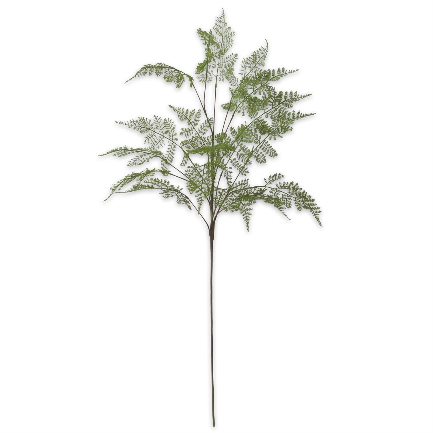 46" Lace Fern Spray