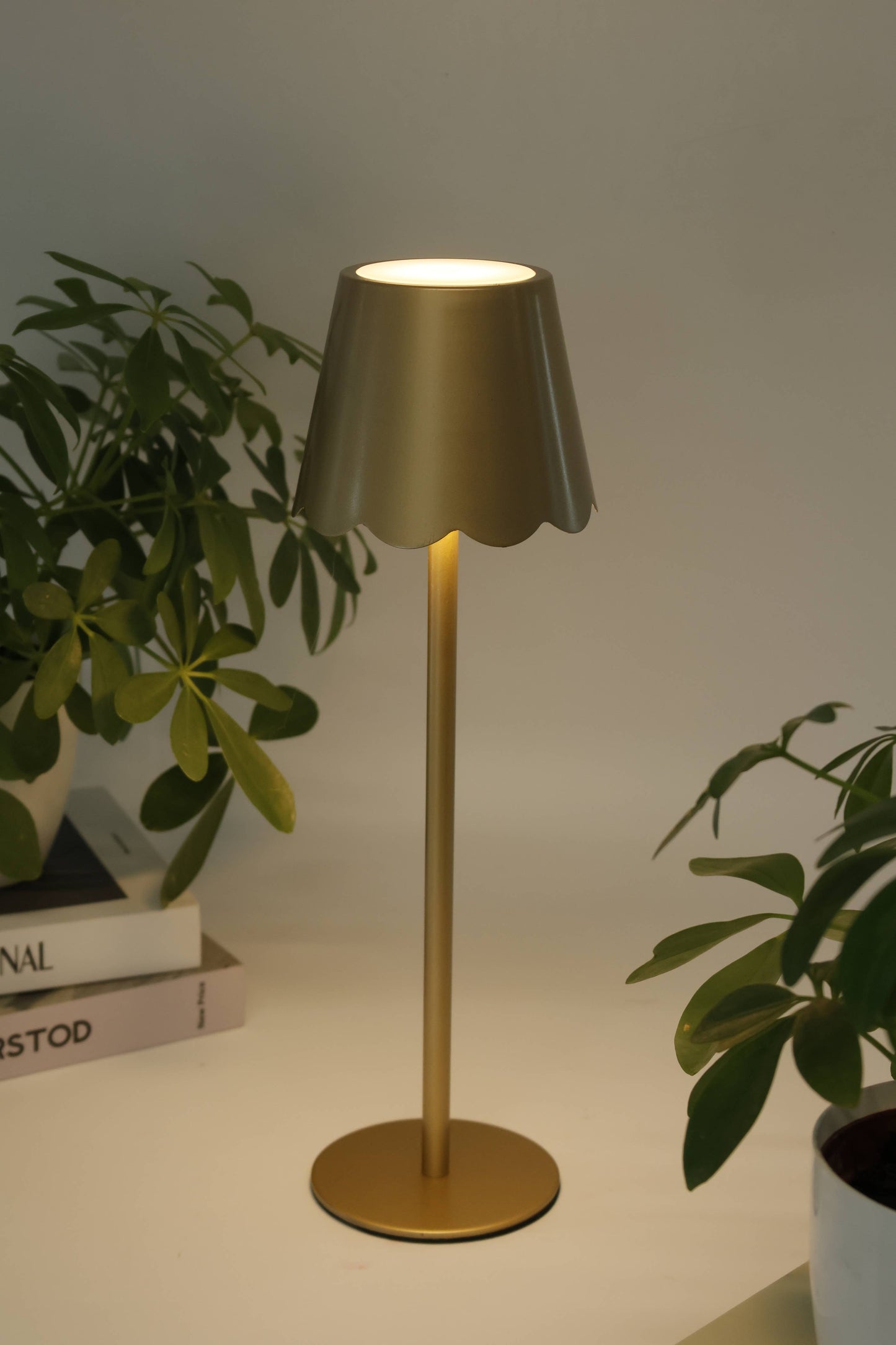 LED Lamp – Scalloped Shade – Black / Gold