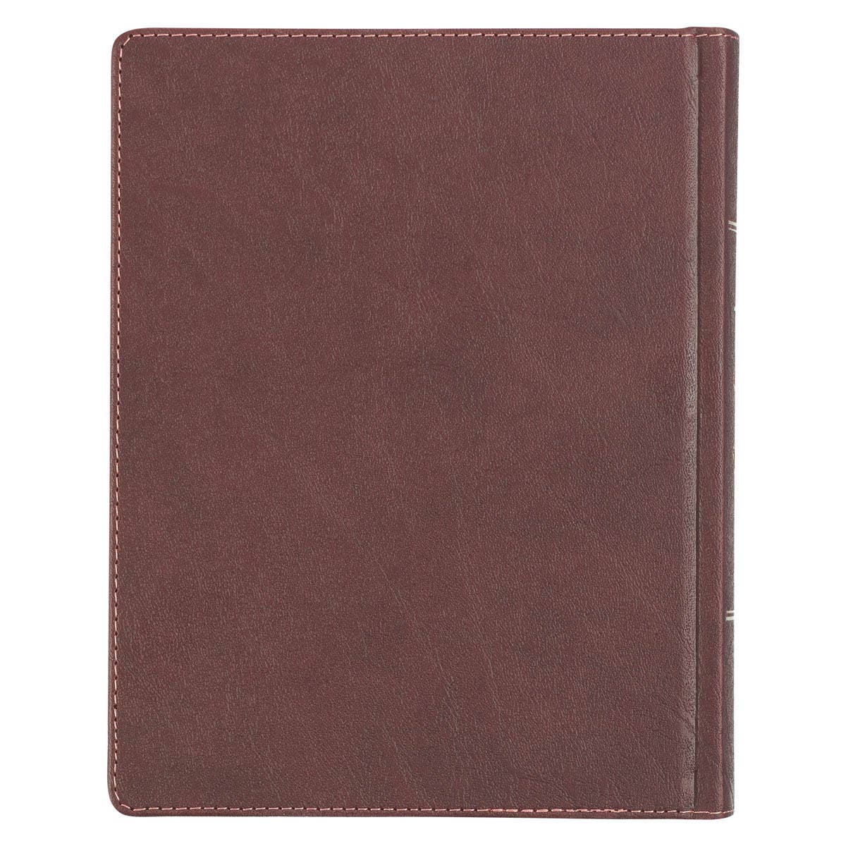 KJV Note-taking Bible Faux Leather HC, Brown/Pink