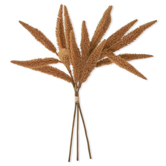 mustard millet stem