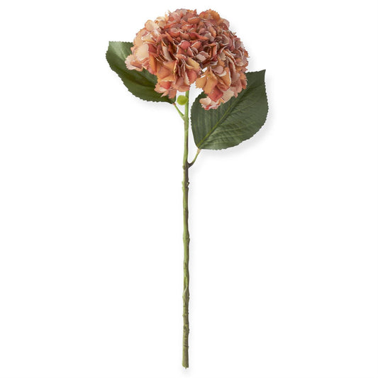 orange hydrangea stem