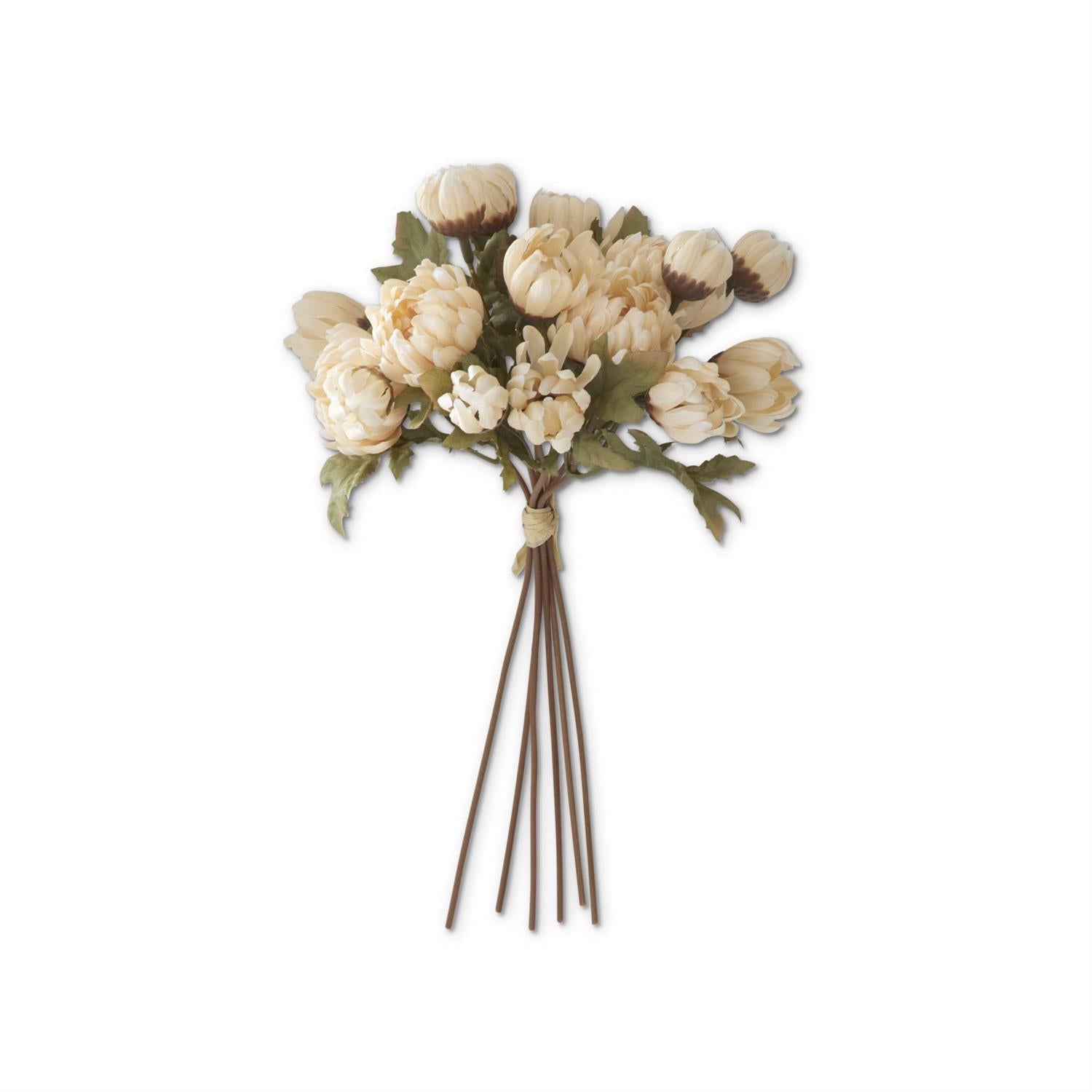 Dahlia Bundle