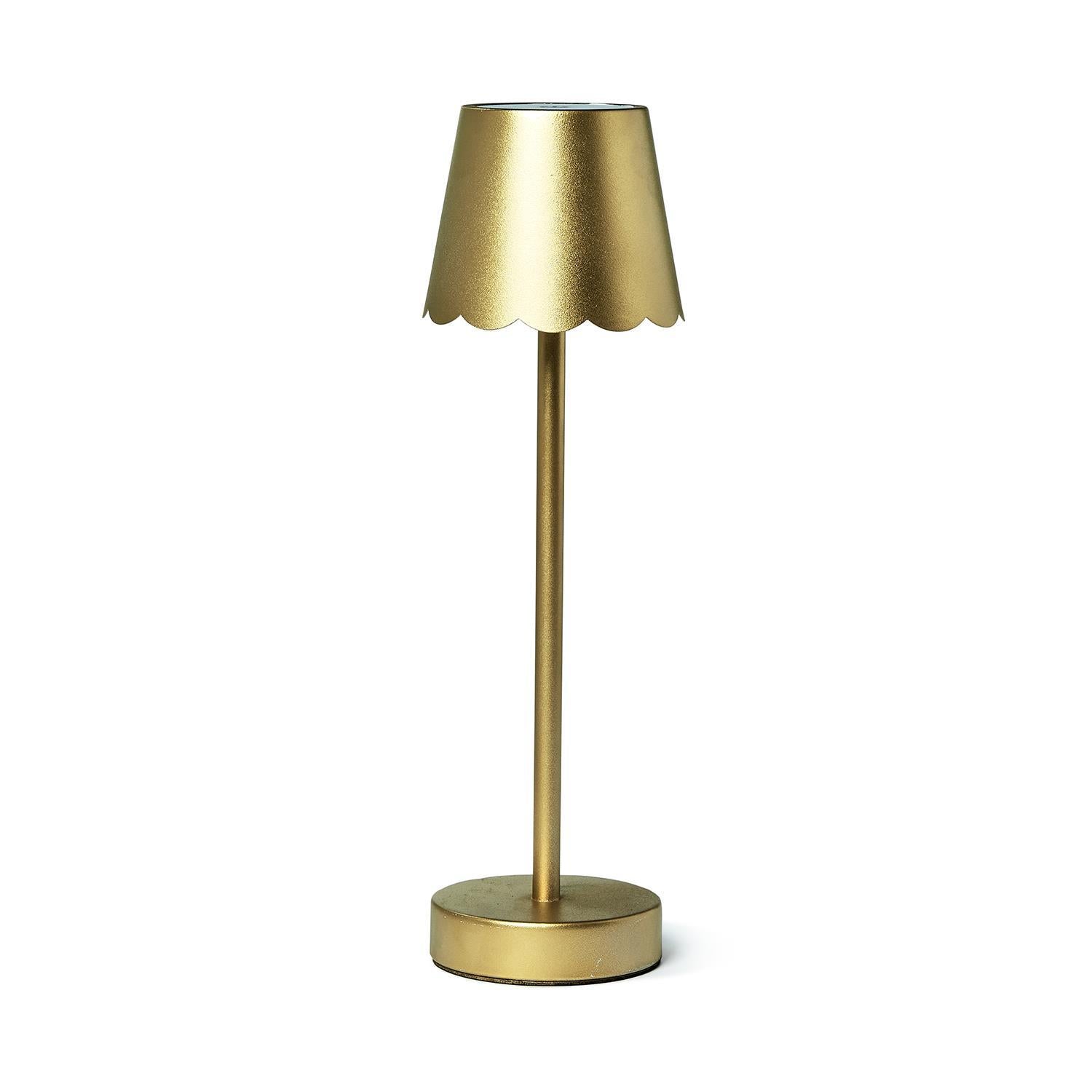 LED scalloped lamp