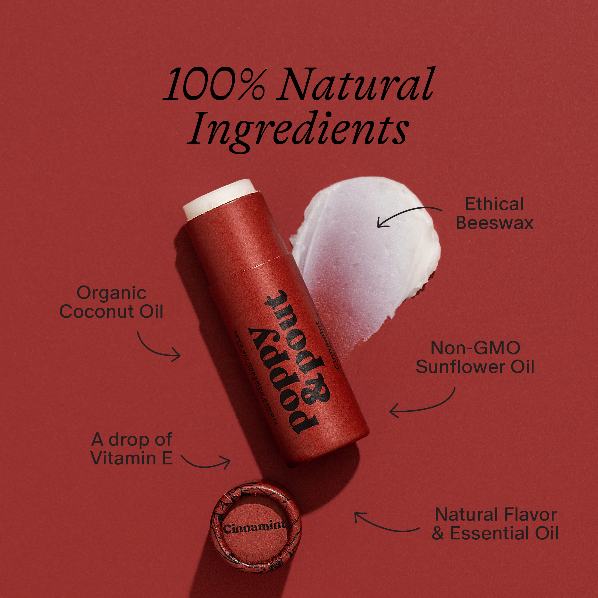 Lip Care Duo, Cinnamint