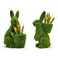 Faux Moss Basket Bunny