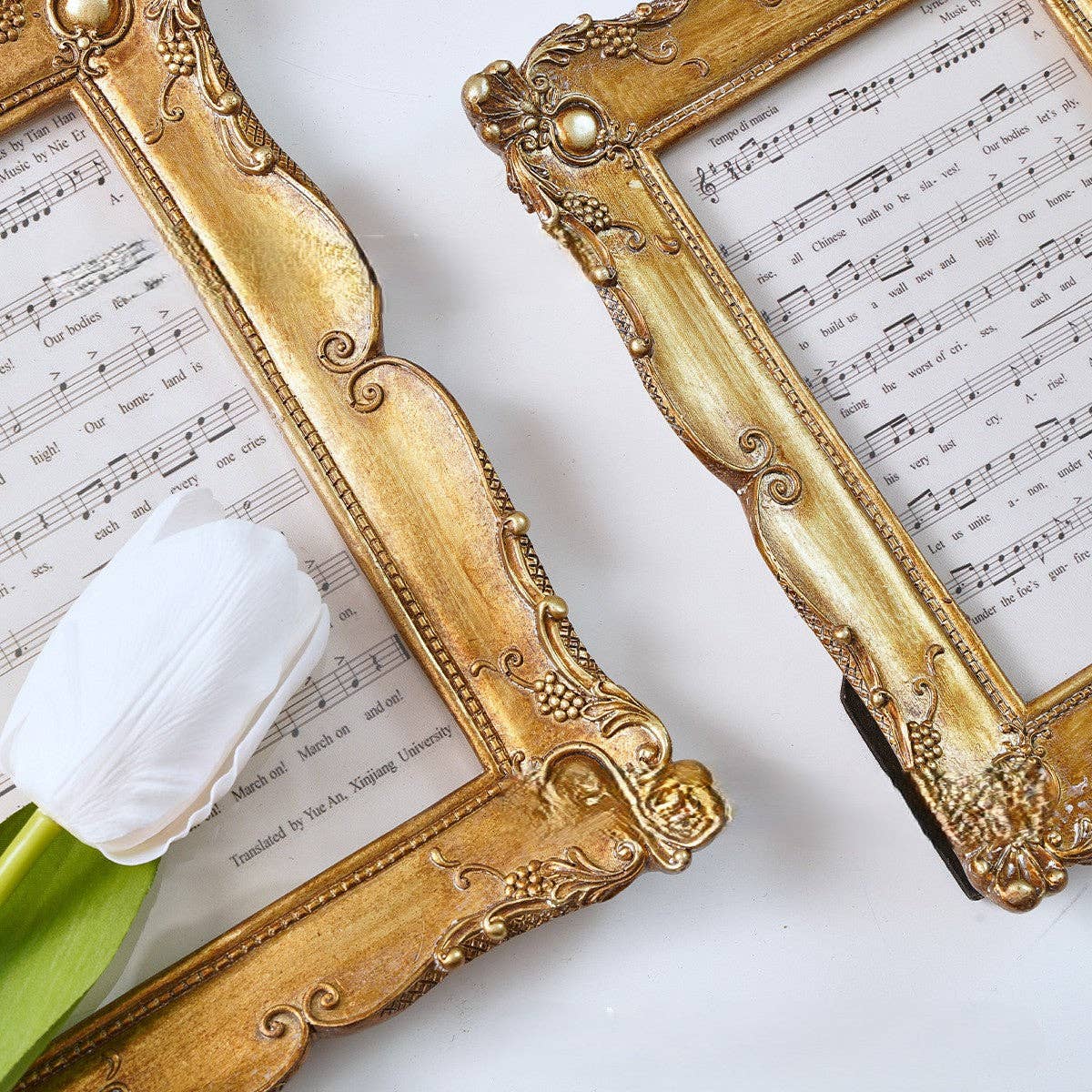 Ornate Baroque Picture Frame