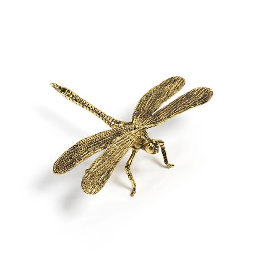 dragon fly sitter
