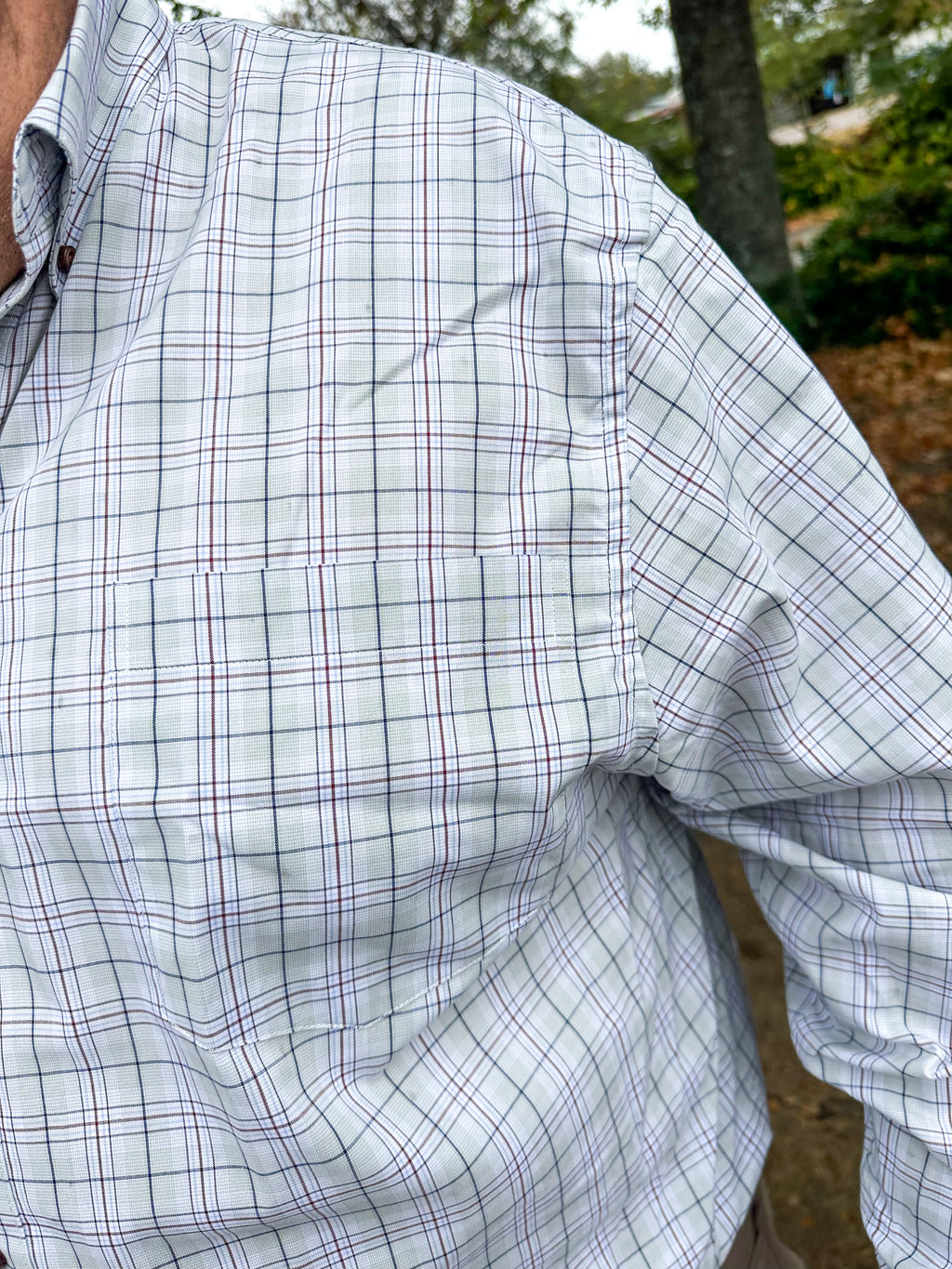 Sawyer Sienna Button Down