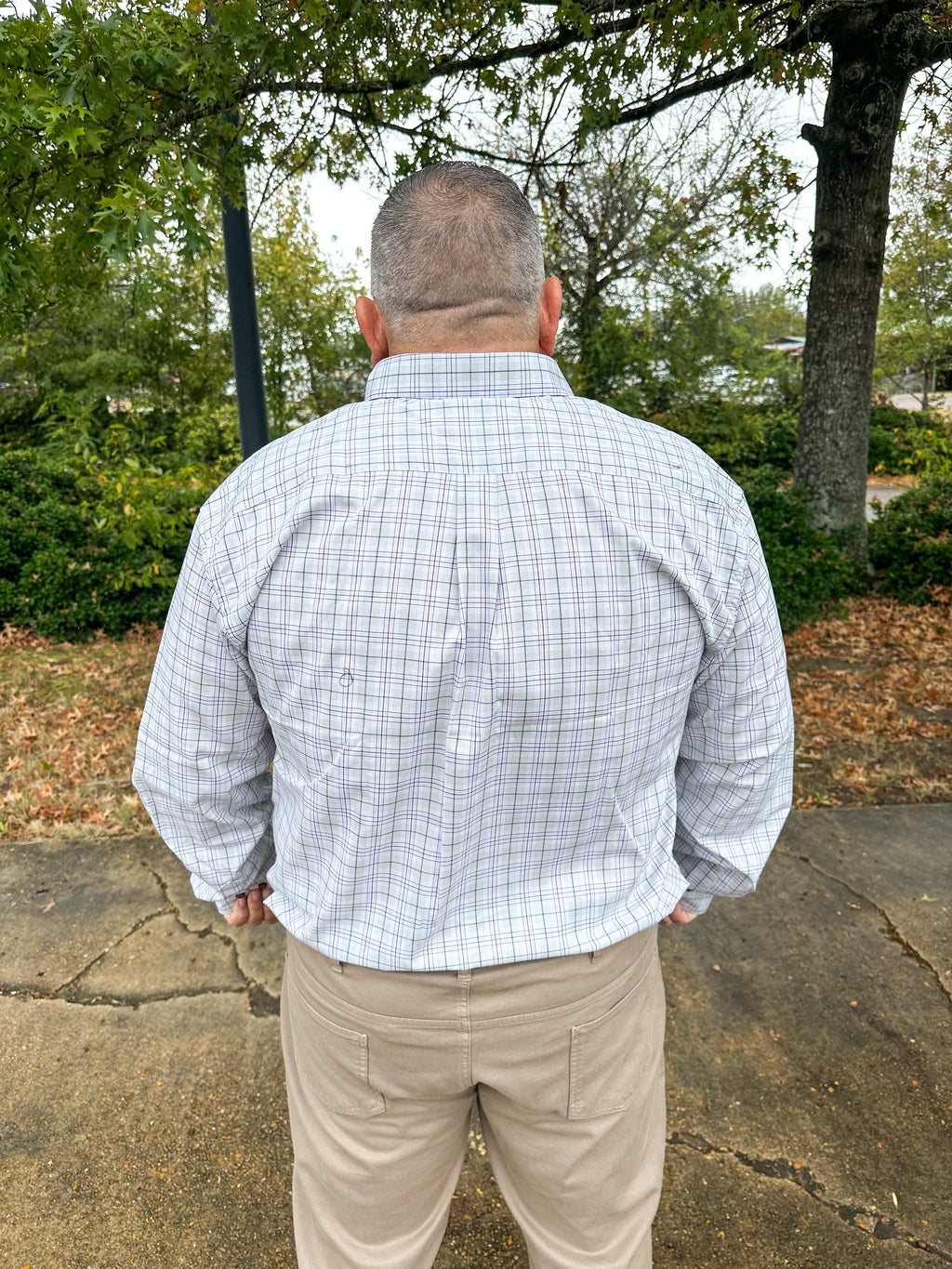 Sawyer Sienna Button Down