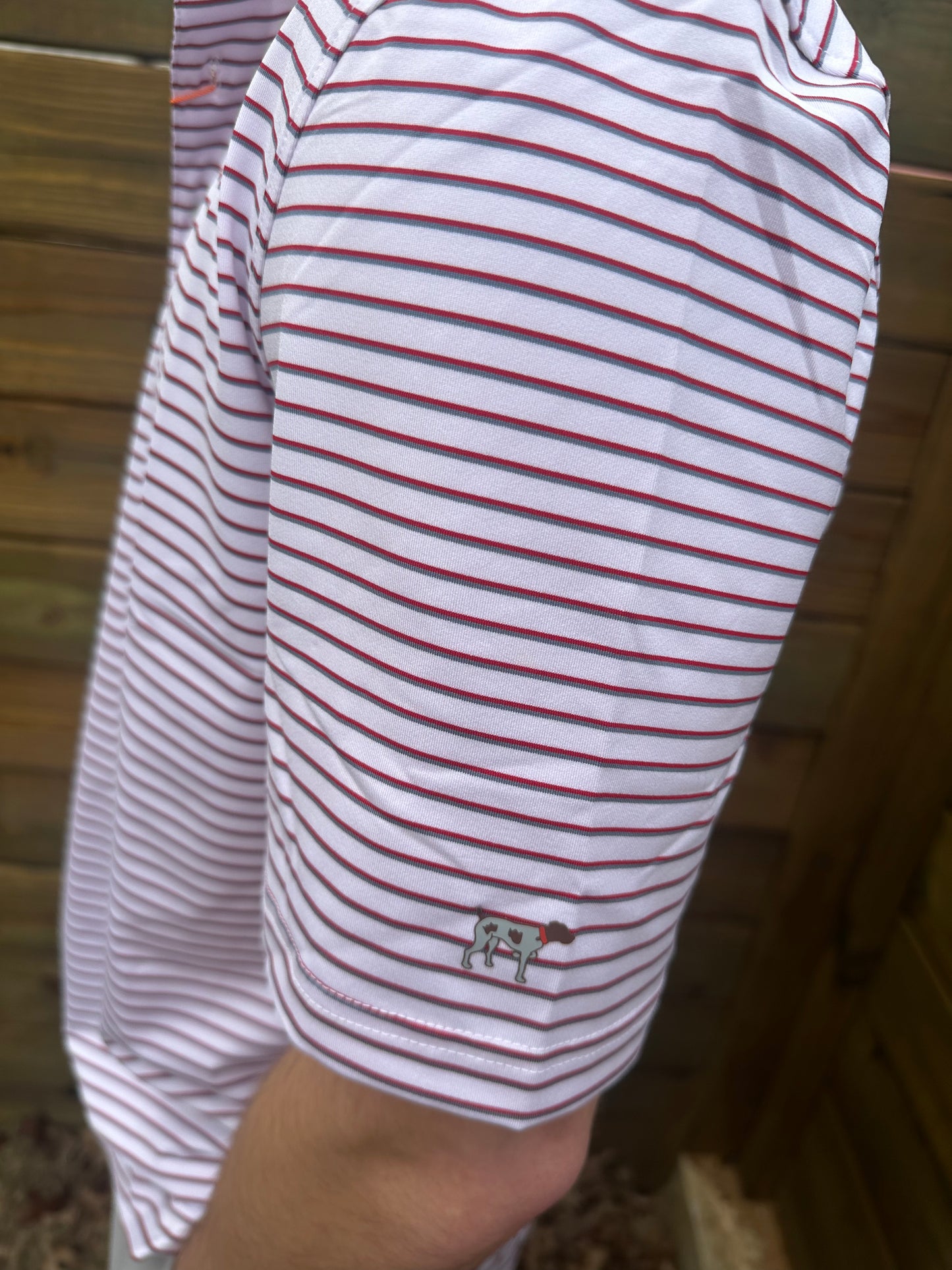 stadium stripe polo