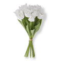 parrot tulip - white
