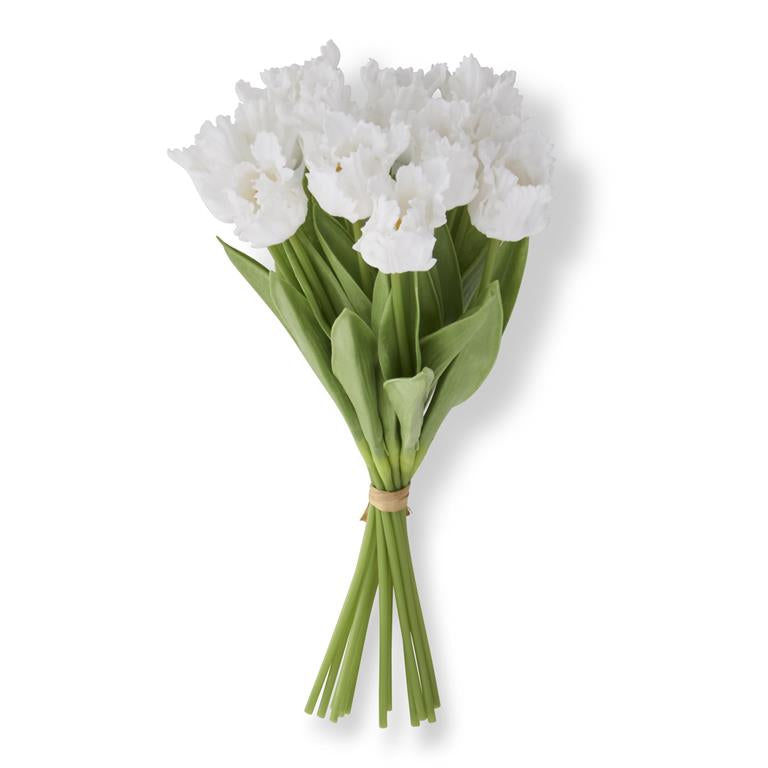 parrot tulip - white