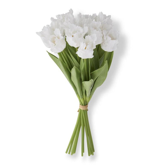 parrot tulip - white