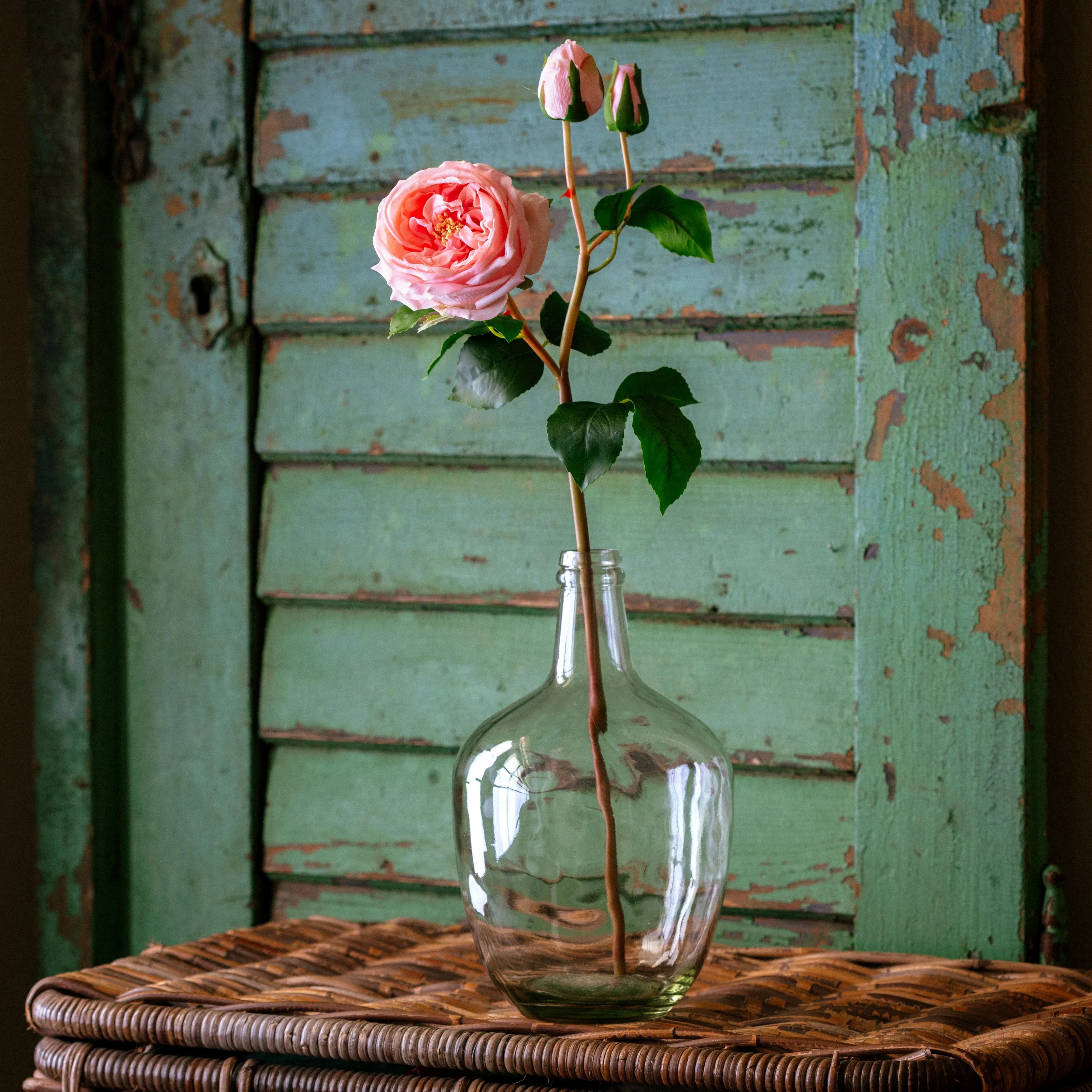 Queen Rose Soft Pink
