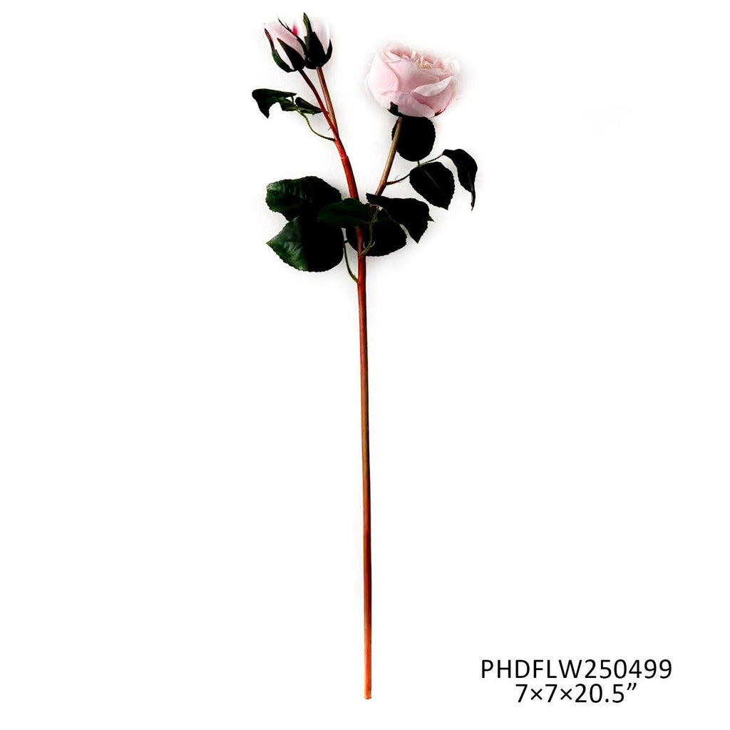 Queen Rose Soft Pink