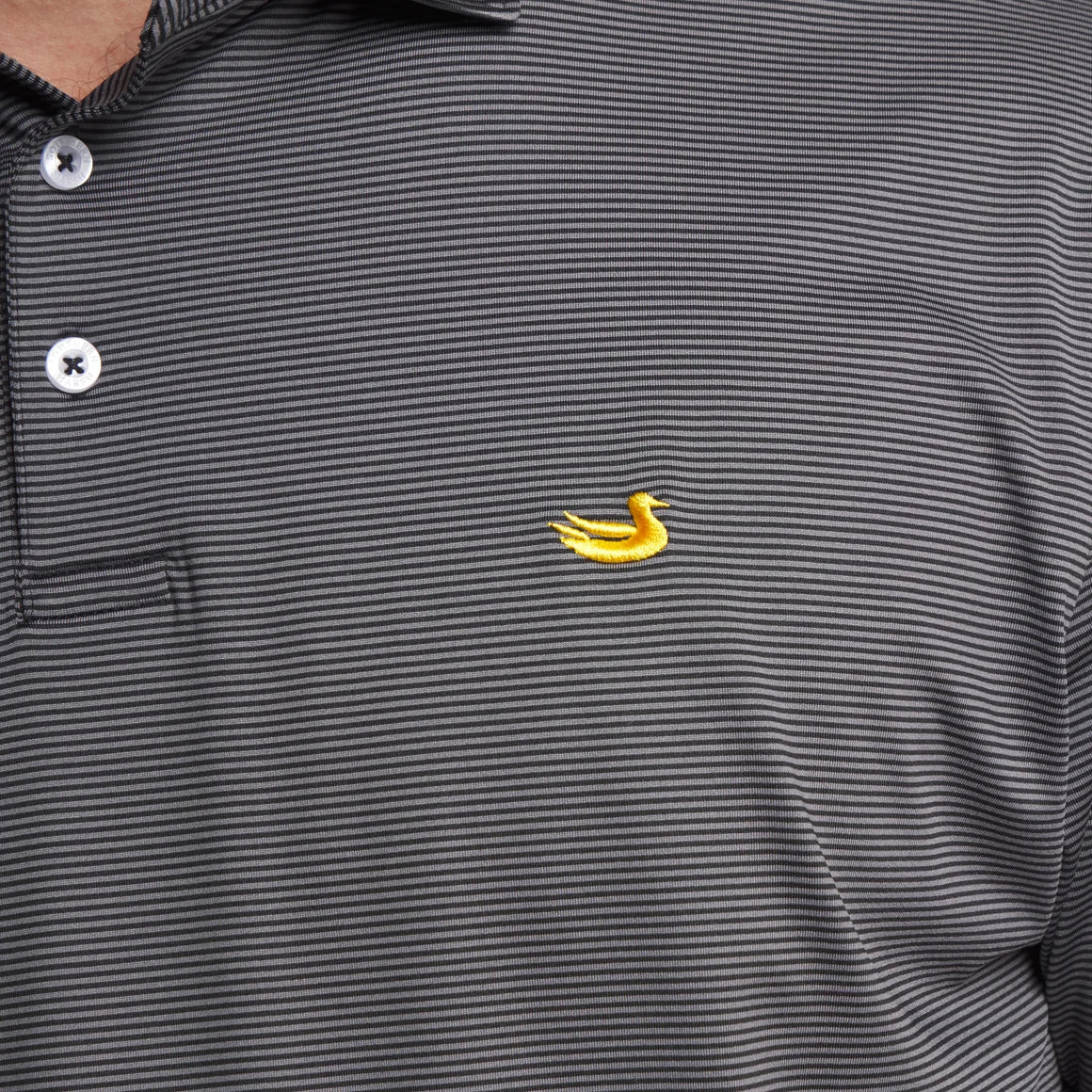 Warrior Polo