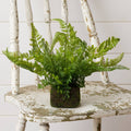 Mossy Faux Fern