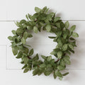 Wreath Fittonia