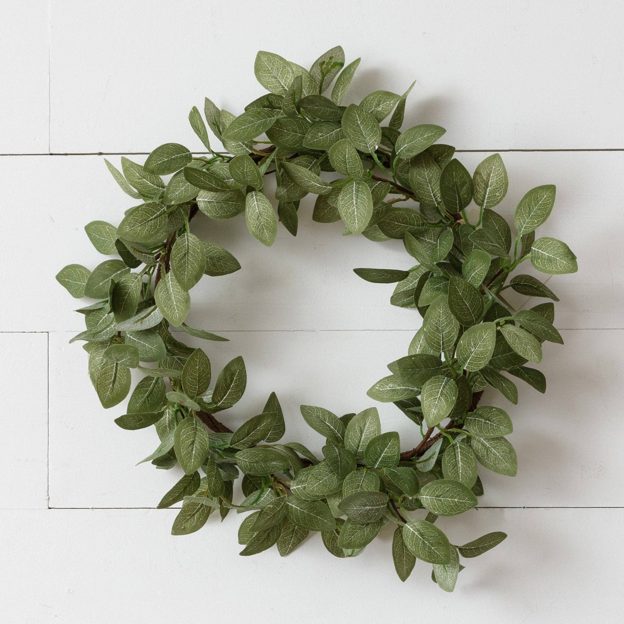 Wreath Fittonia