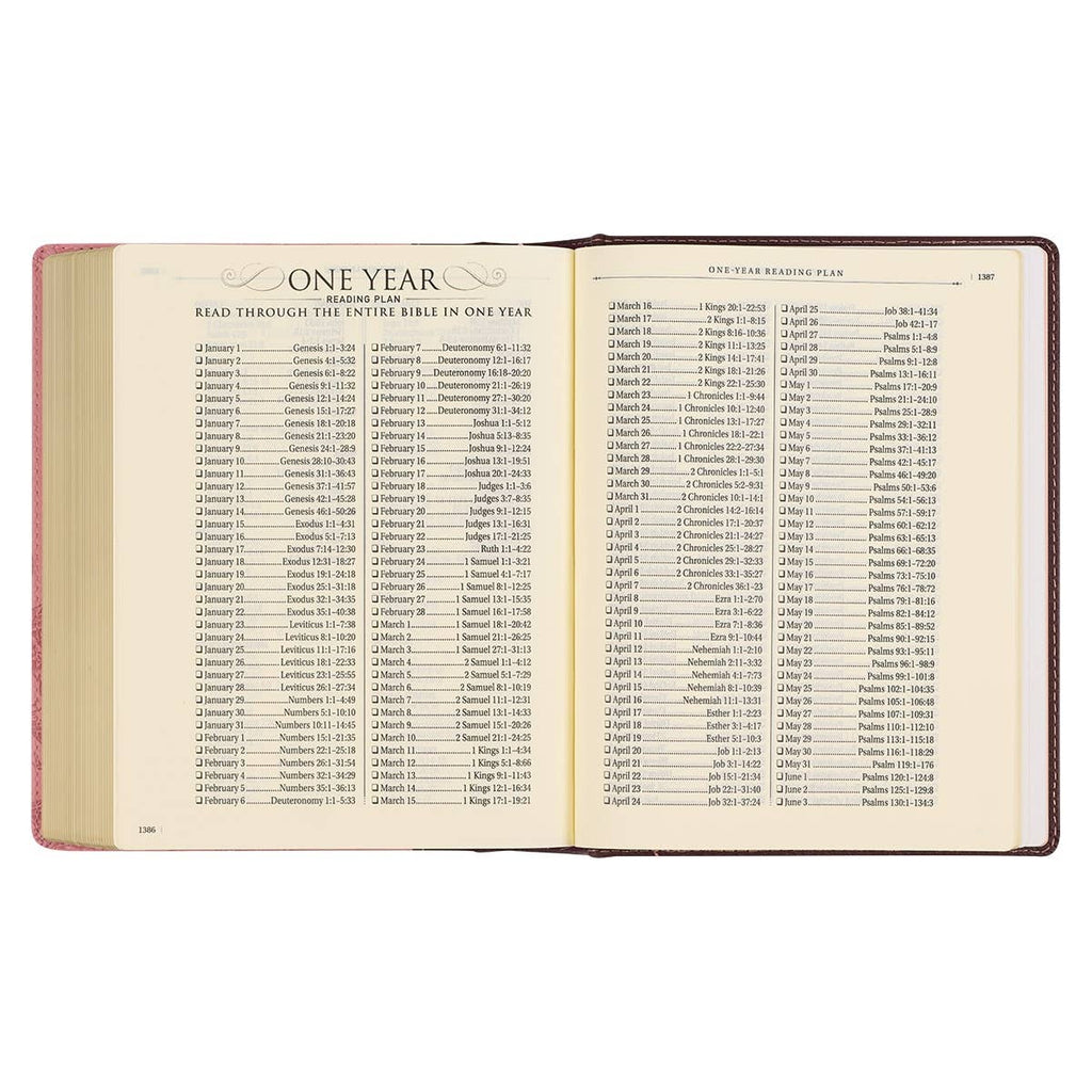 KJV Note-taking Bible Faux Leather HC, Brown/Pink