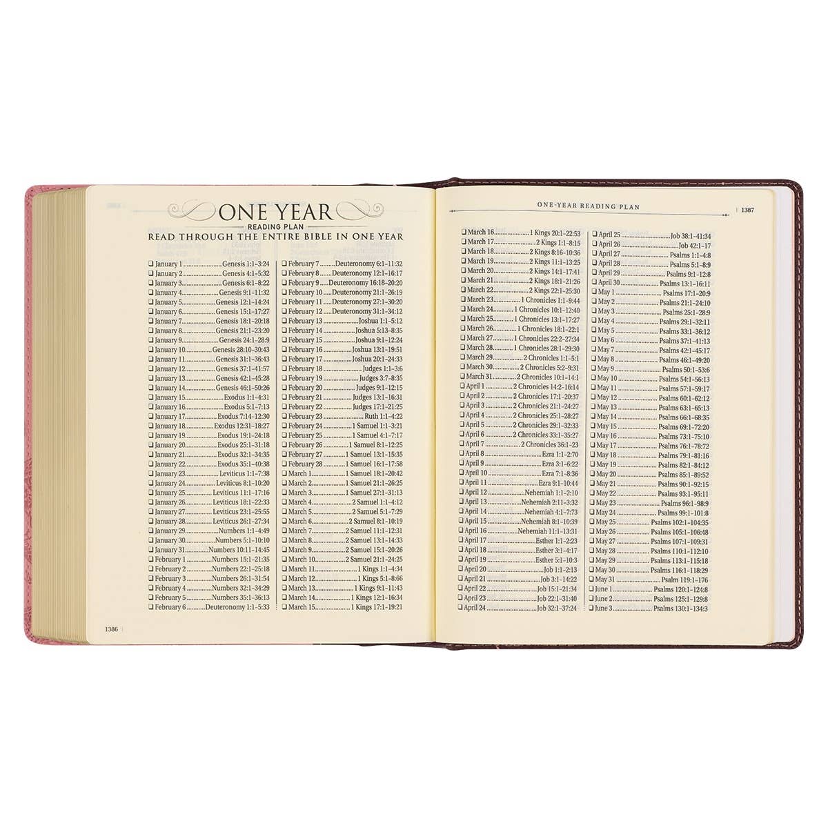 KJV Note-taking Bible Faux Leather HC, Brown/Pink