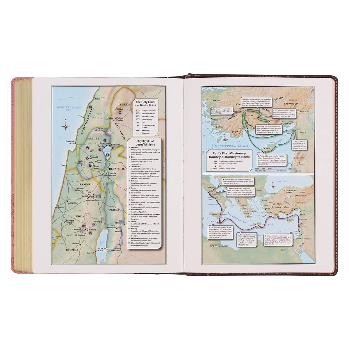 KJV Note-taking Bible Faux Leather HC, Brown/Pink