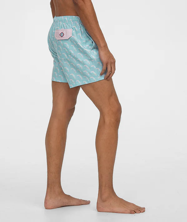 Toucan Tango Swim Shorts